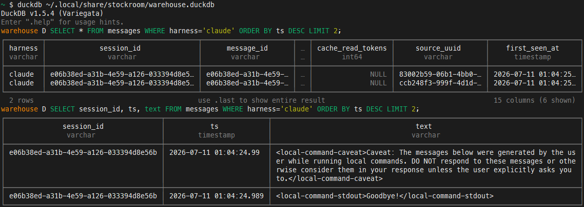 Querying the Warehouse with DuckDB CLI